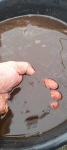 Grupo Clean Life 24 horas. É Lei! A Limpeza da cisterna deve ser feita a cada seis meses